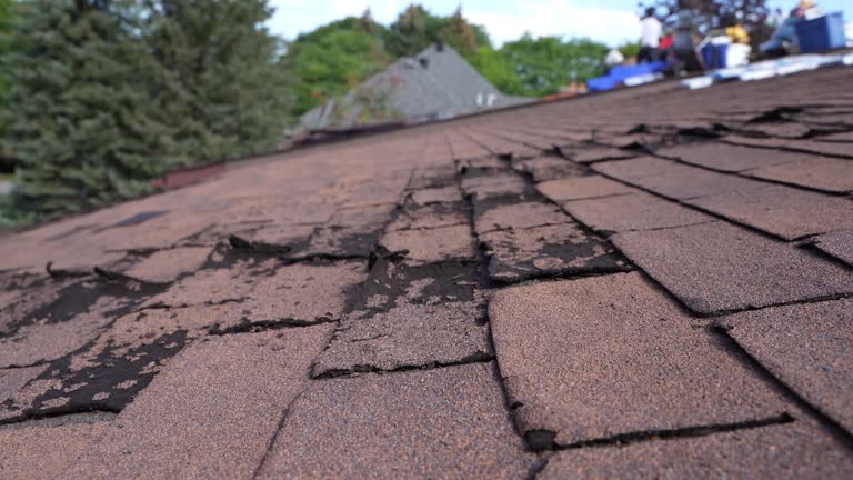 Best Sheet Metal Roofing  in New Hempstead, NY